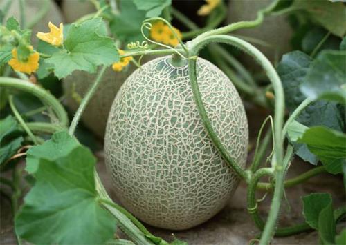 情断钱始?/穷极生爱/缘尽生财衍生剧